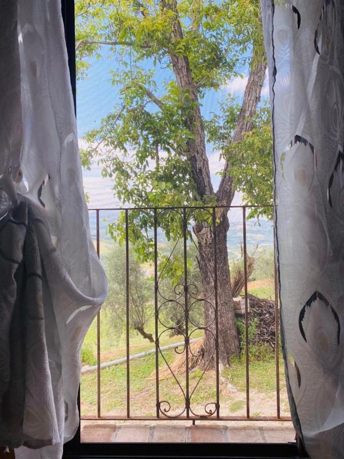 Agriturismo Flara Basciano Екстер'єр фото